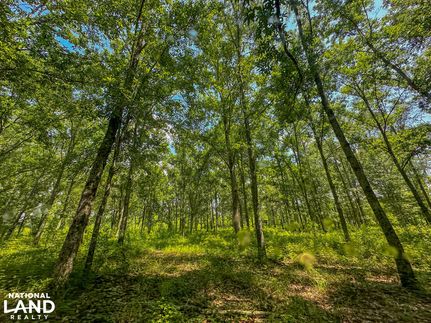 Property for sale in Bibb County, Alabama