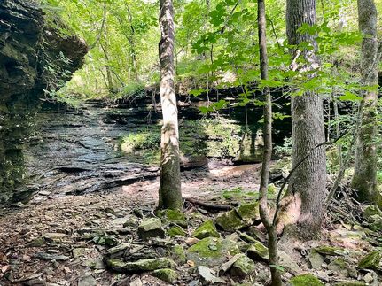 Undeveloped Land for sale in Cleburne County, Arkansas