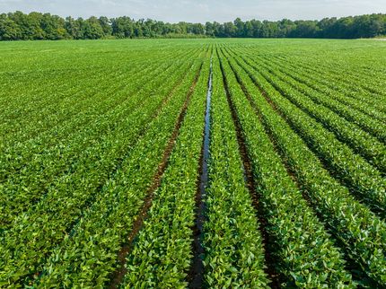 Property in Clay County, Arkansas