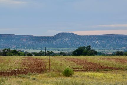 Property in Briscoe County, Texas