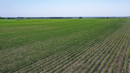 Property in Grant County, South Dakota