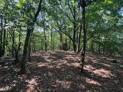 Undeveloped Land for sale in Pickens County, South Carolina