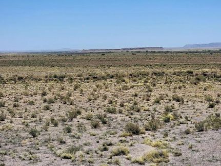 Undeveloped Land for sale in Navajo County, Arizona