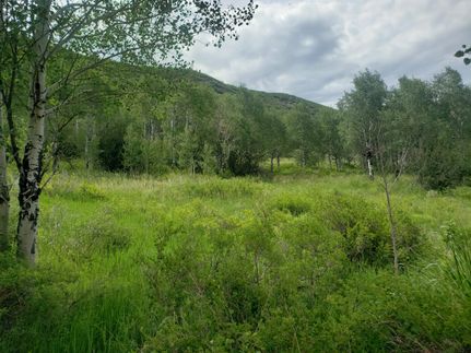 Property for sale in Routt County, Colorado