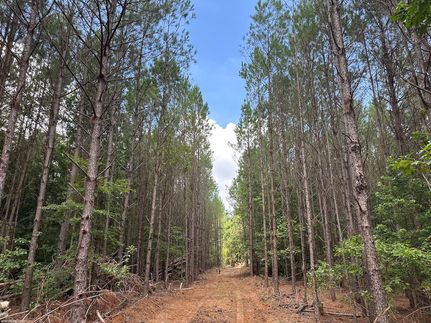 Timberland Property for sale in Choctaw County, Mississippi