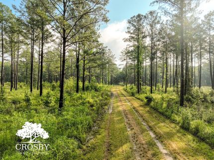 Ranch Property for sale in Hampton County, South Carolina