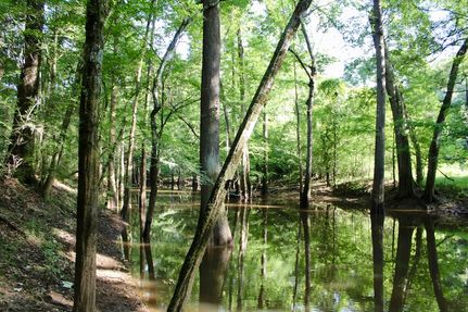 Recreational Property for sale in Washington Parish, Louisiana
