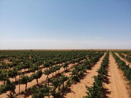 Property for sale in Terry County, Texas