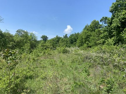 Property for sale in Bedford County, Tennessee