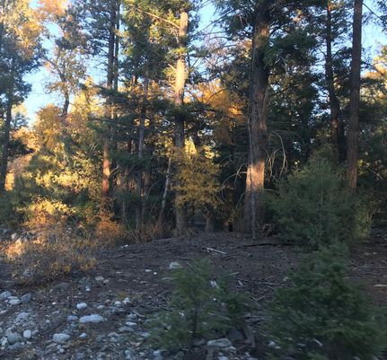 Property for sale in Alamosa County, Colorado