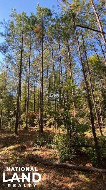 Property in Mobile County, Alabama