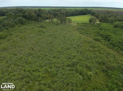 Undeveloped Land for sale in Chicot County, Arkansas