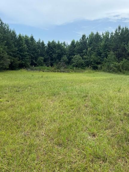 Property for sale in Pearl River County, Mississippi