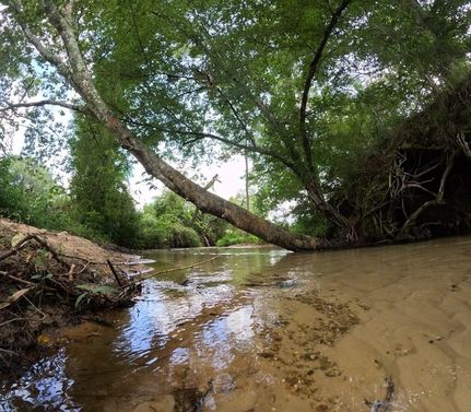 Property for sale in Marion County, Mississippi