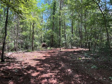 Undeveloped Land for sale in Rutherford County, North Carolina