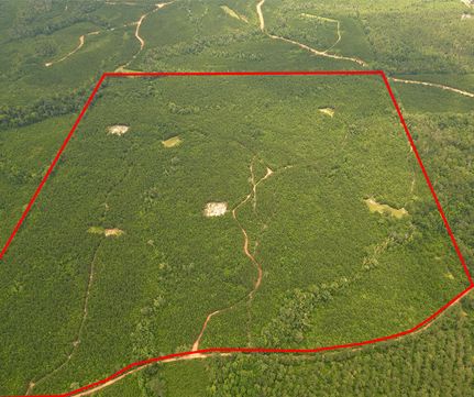 Property for sale in Conecuh County, Alabama