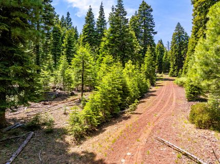 Property for sale in Modoc County, California