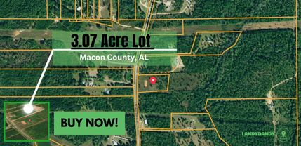 Undeveloped Land for sale in Macon County, Alabama