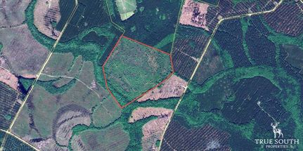 Property for sale in McIntosh County, Georgia