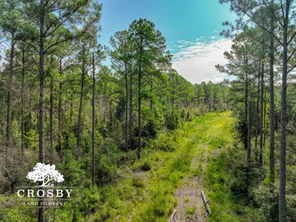 Property for sale in Twiggs County, Georgia