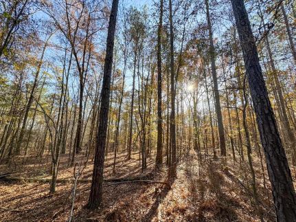 Farm Property for sale in Elmore County, Alabama