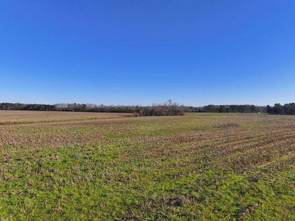 Horse Property for sale in Bullock County, Alabama
