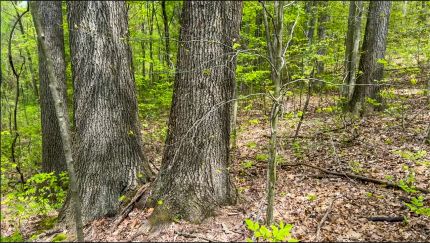 Property in Jefferson County, Ohio