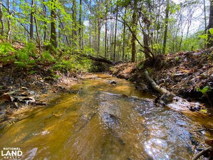 Property in Tuscaloosa County, Alabama