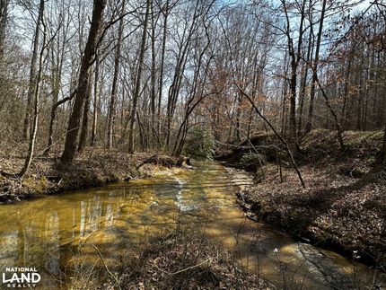 Property for sale in Fayette County, Alabama