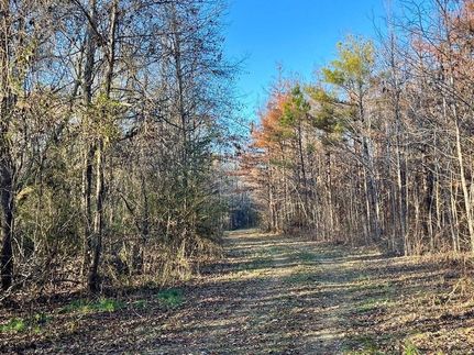 Property for sale in West Carroll Parish, Louisiana