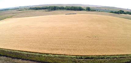 Property in Tripp County, South Dakota