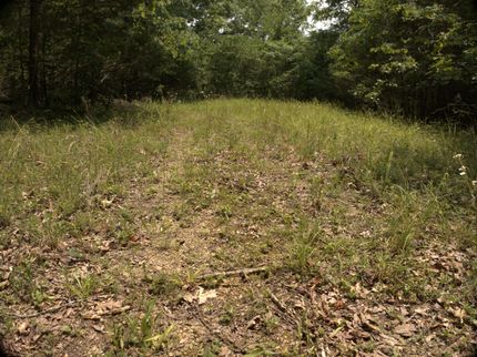 Undeveloped Land for sale in Clay County, Tennessee