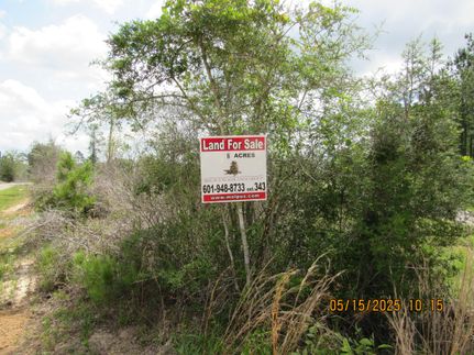 Undeveloped Land for sale in Baldwin County, Alabama