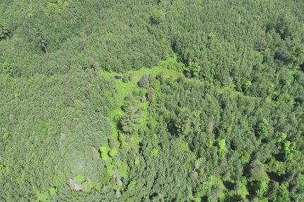 Undeveloped Land for sale in Iron County, Michigan