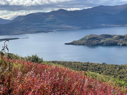 Hunting Land for sale in Kodiak Island Borough, Alaska