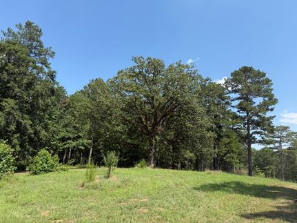 Property for sale in Monroe County, Georgia