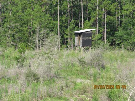 Hunting Land for sale in Baldwin County, Alabama