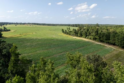 Timberland Property for sale in Houston County, Texas