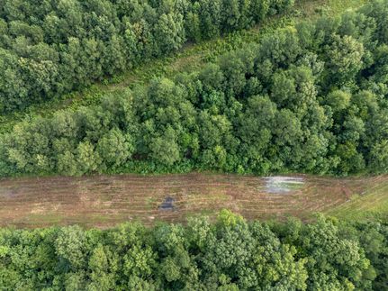 Timberland Property for sale in Panola County, Texas