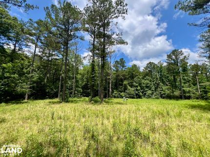 Hunting Land for sale in Monroe County, Alabama