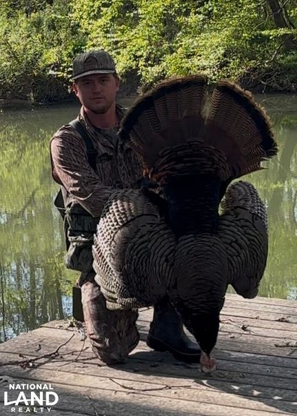 Property in Madison County, Alabama