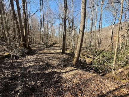 Hunting Land for sale in Johnson County, Tennessee