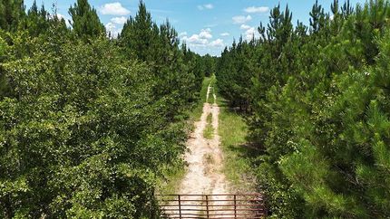 Property for sale in Worth County, Georgia