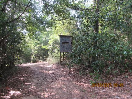 Undeveloped Land for sale in Baldwin County, Alabama