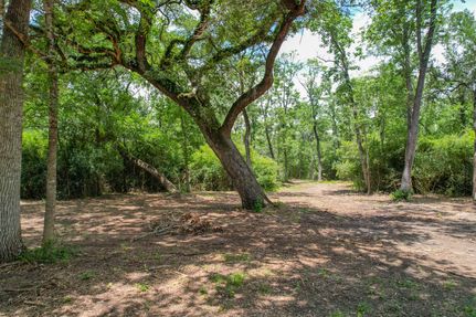 Undeveloped Land for sale in Brazos County, Texas