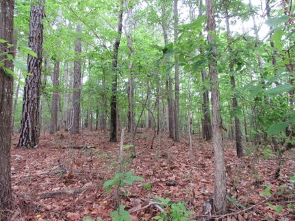 Property for sale in Winston County, Alabama
