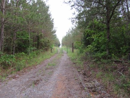 Property for sale in Winston County, Alabama