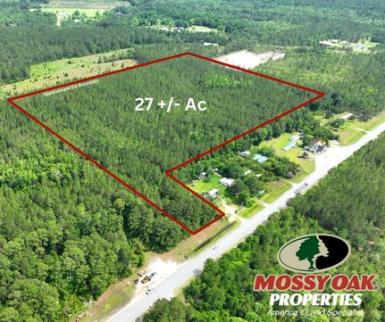 Undeveloped Land for sale in Wayne County, Georgia