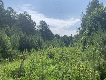 Property for sale in Polk County, Georgia