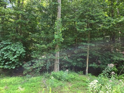 Property for sale in Franklin County, North Carolina